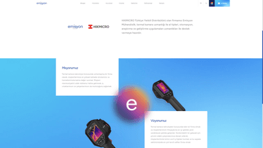project detail image