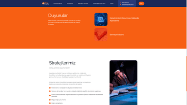 project detail image