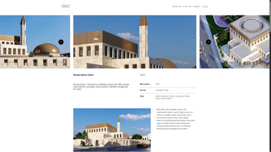 project detail image