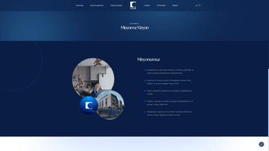 project detail image